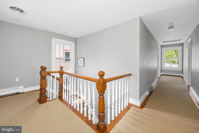 a view of a yard with plants