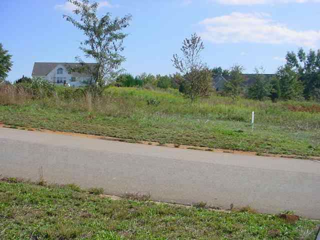 225 Roundstone Drive, Unit LOT 25 Inman, SC 29349 - Photo 4 of 9 Gallery Image 4