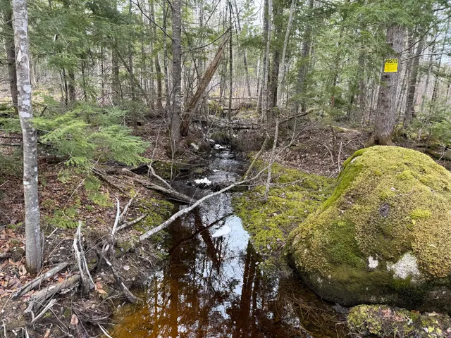 $100,000 | 50 Wilderness Park Road, Mattawamkeag, ME 04459