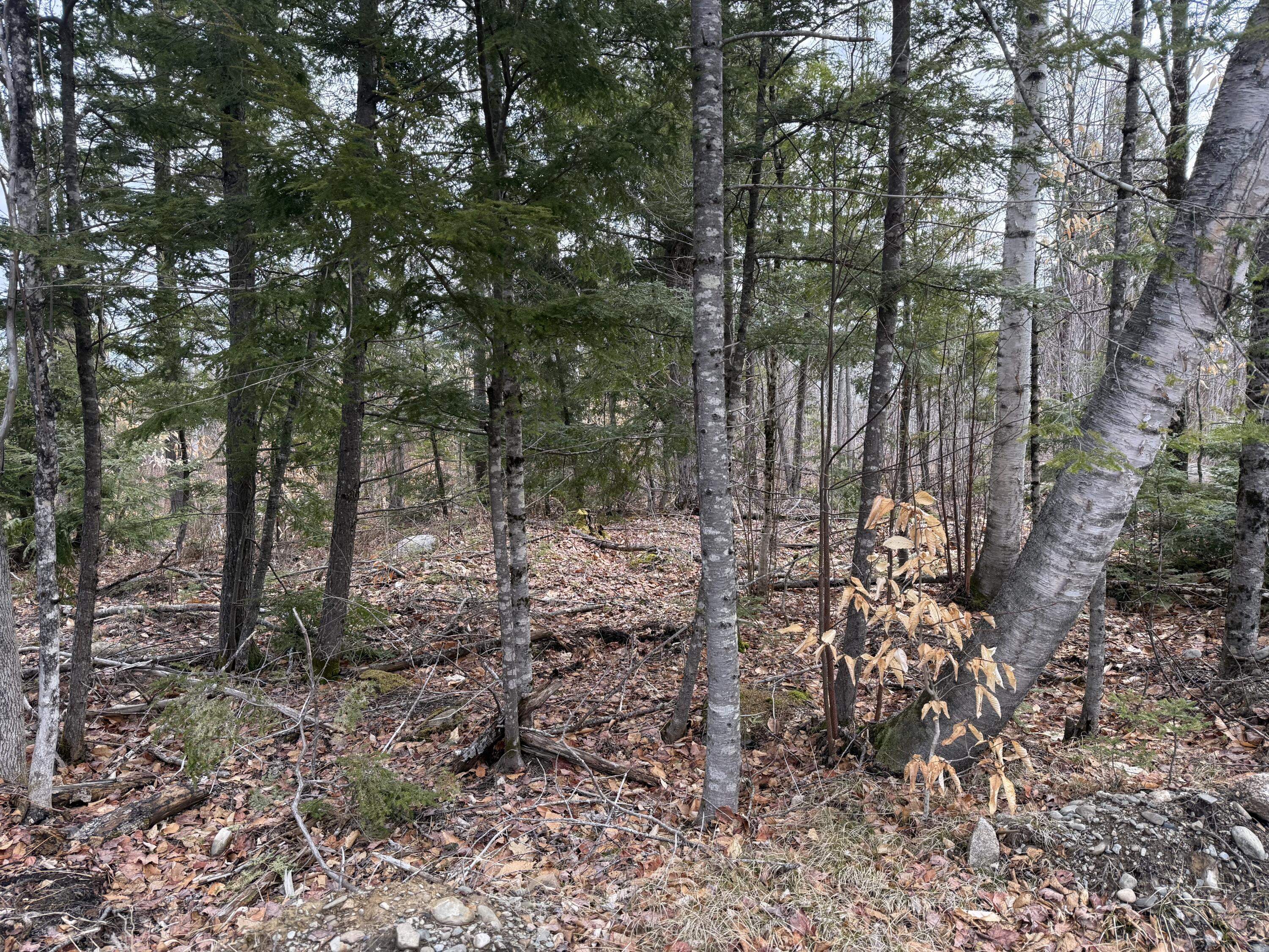 50 Wilderness Park Road Mattawamkeag, ME 04459 - Photo 15 of 18 IMG_4225