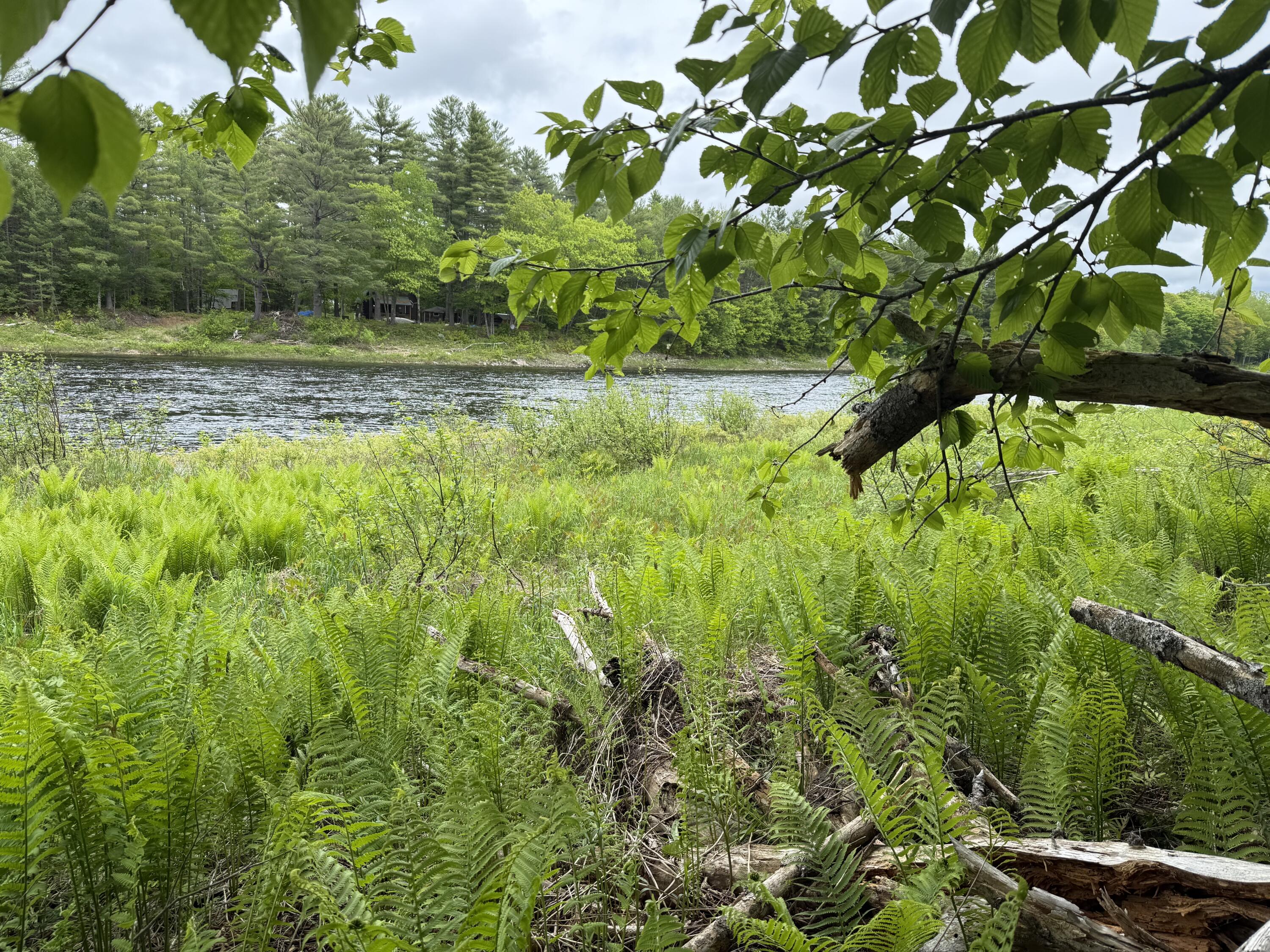 50 Wilderness Park Road Mattawamkeag, ME 04459 - Photo 16 of 18 IMG_4486