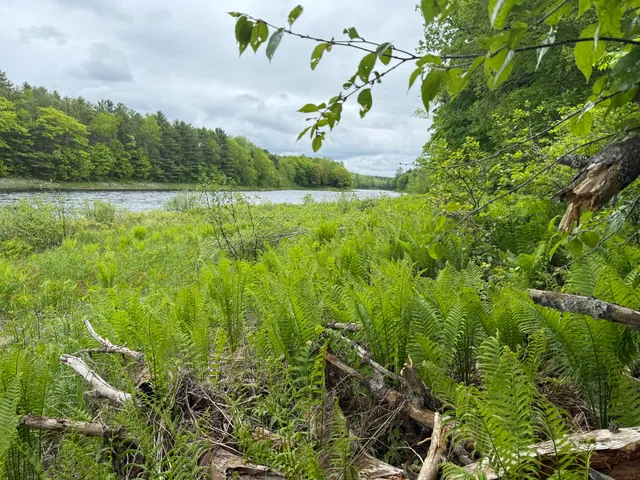 $100,000 | 50 Wilderness Park Road, Mattawamkeag, ME 04459