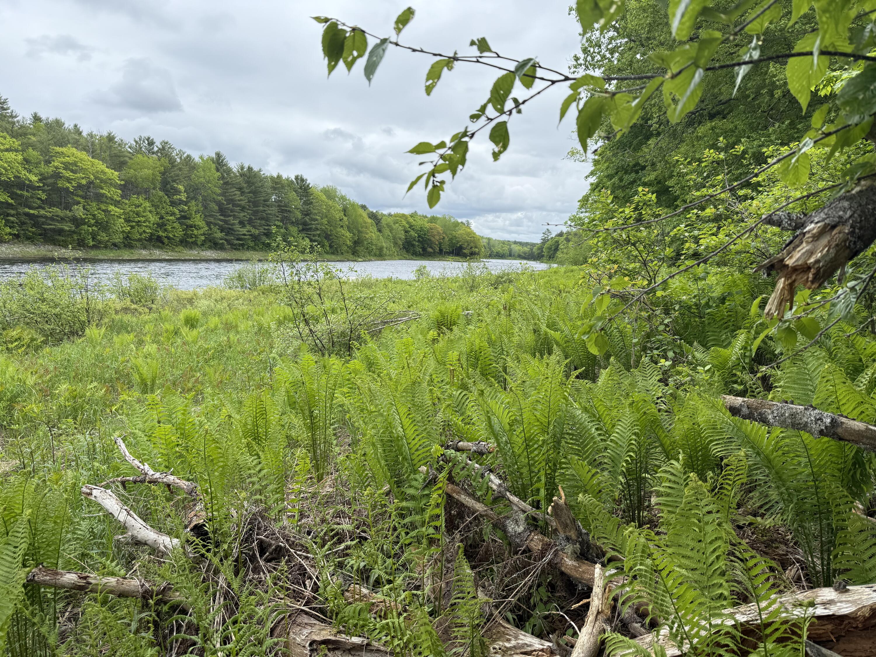 50 Wilderness Park Road Mattawamkeag, ME 04459 - Photo 17 of 18 IMG_4487