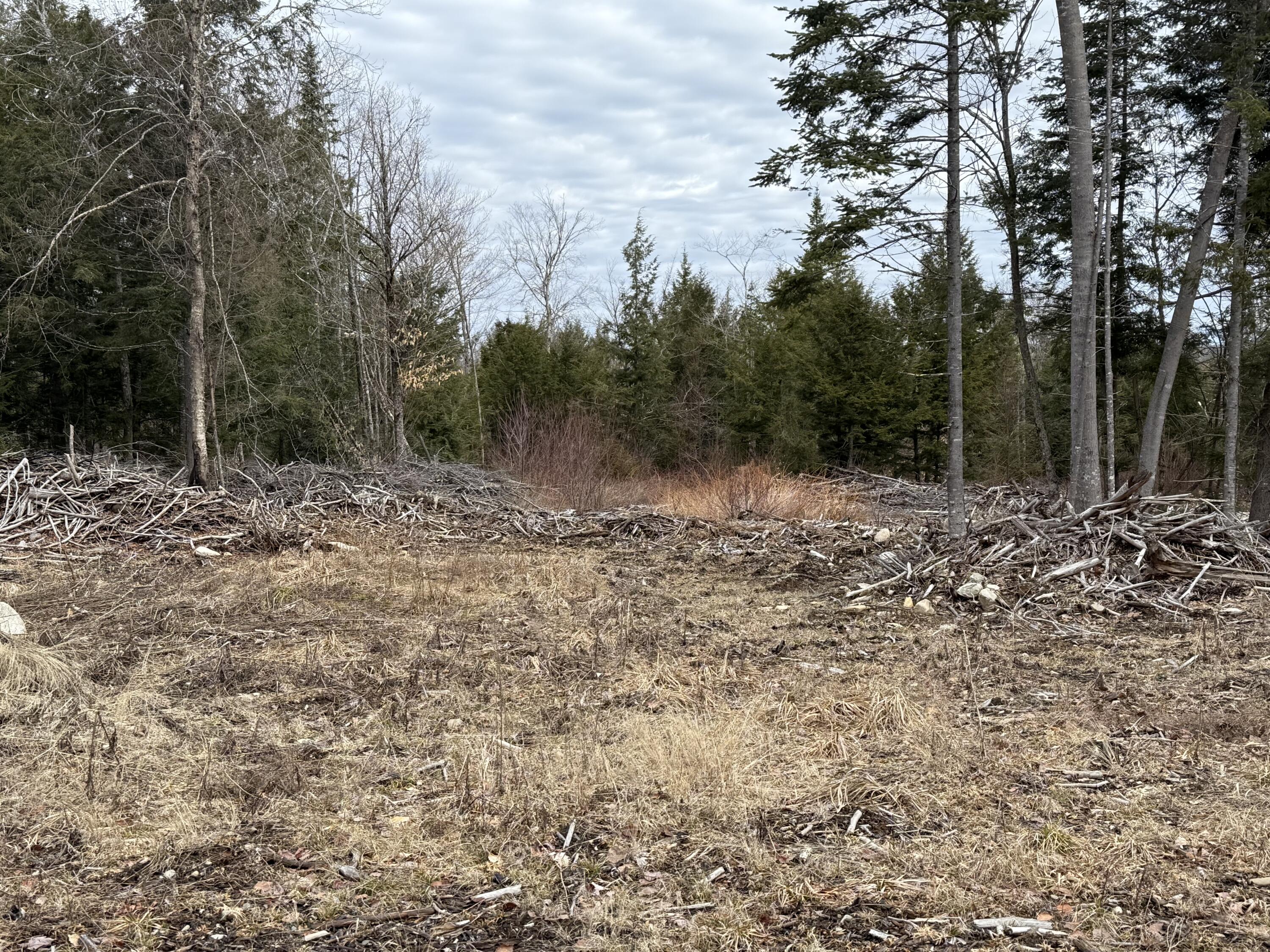 50 Wilderness Park Road Mattawamkeag, ME 04459 - Photo 6 of 18 IMG_4216