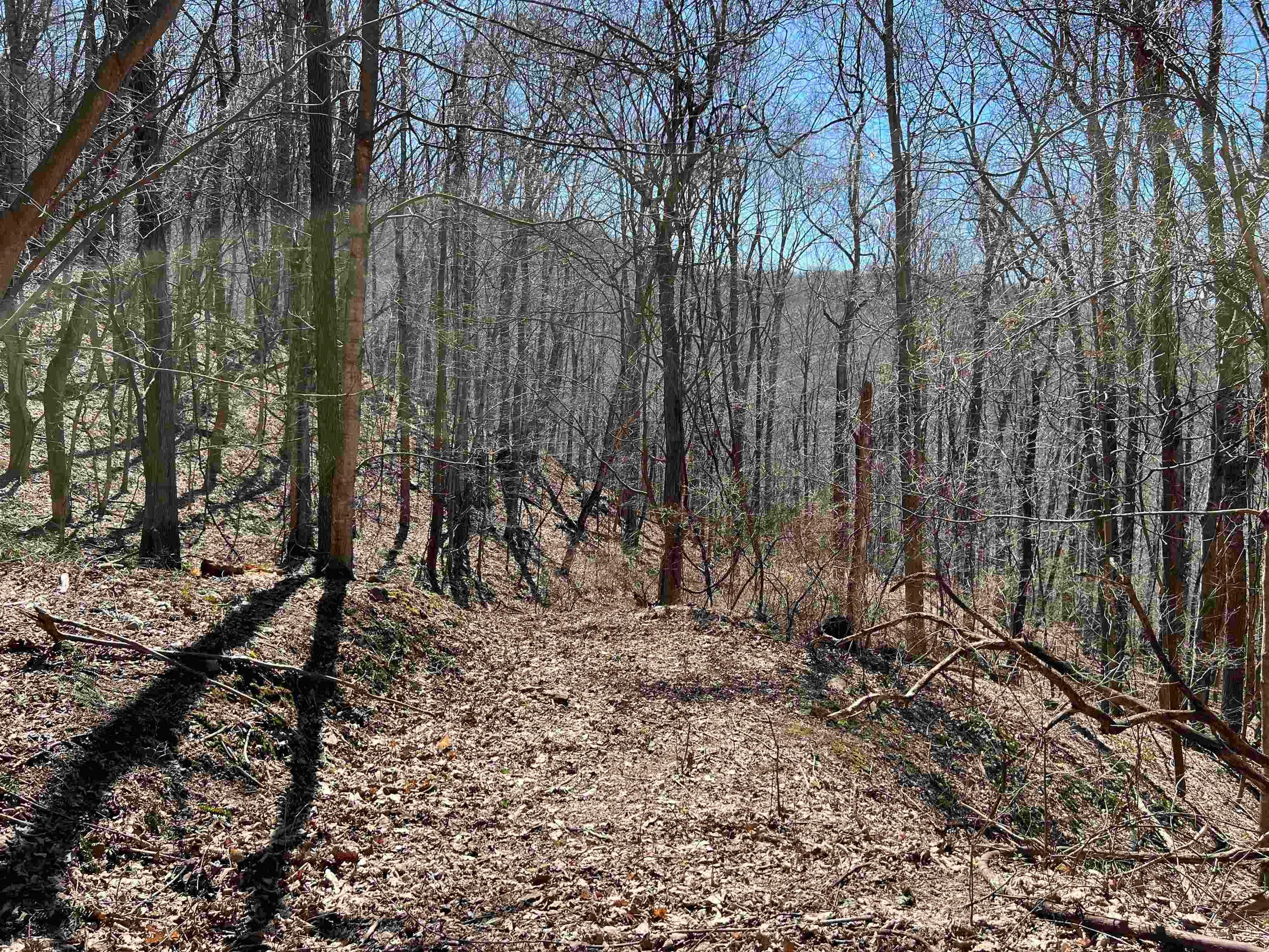Tbd Lumber Jack Road Narrows, VA 24124 - Photo 29 of 31 Gallery Image 29