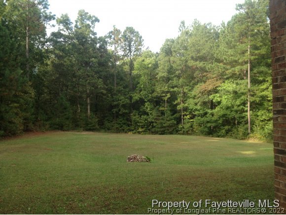 585 Osgood Road Sanford, NC 27330 - Photo 10 of 17 Gallery Image 10