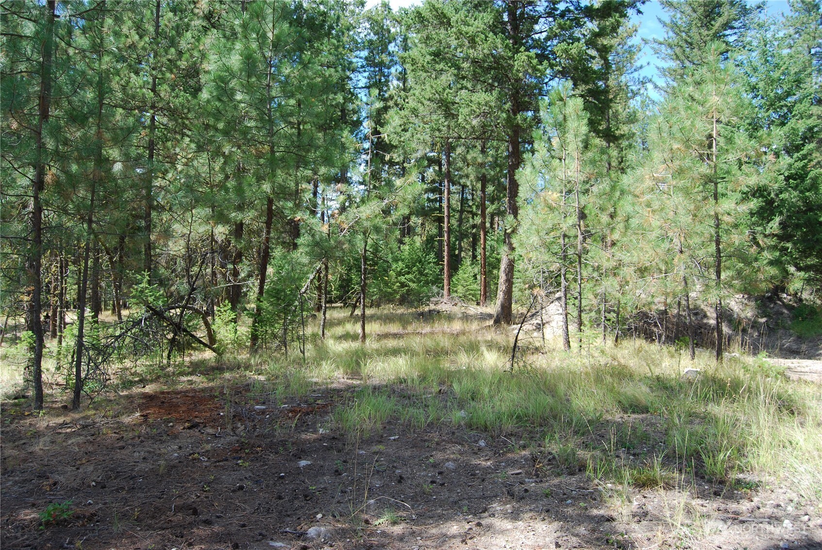 31 Summit Lake Road Tonasket, WA 98855 - Photo 26 of 35