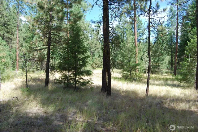 $299,900 | 31 Summit Lake Road, Tonasket, WA 98855