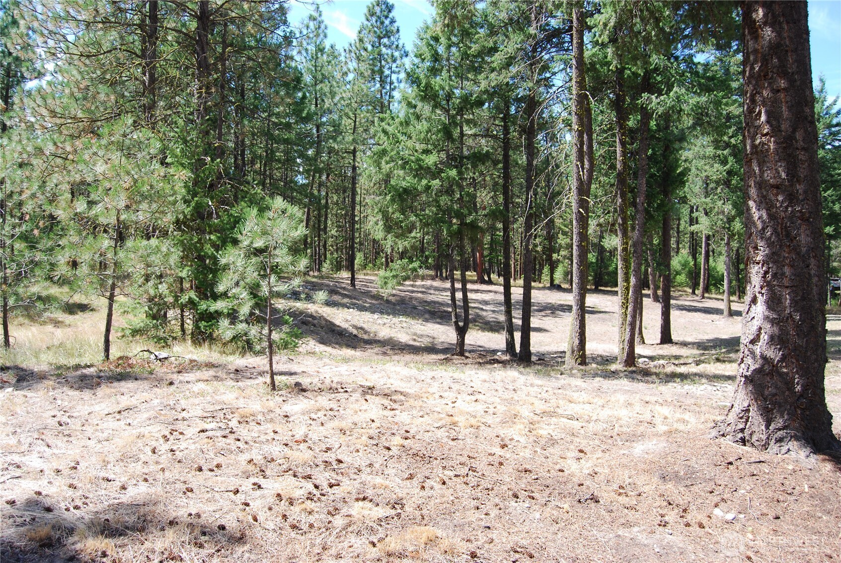 31 Summit Lake Road Tonasket, WA 98855 - Photo 31 of 35