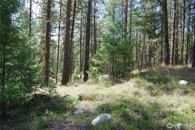 $299,900 | 31 Summit Lake Road, Tonasket, WA 98855