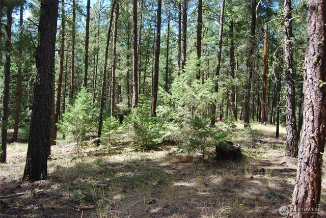 $299,900 | 31 Summit Lake Road, Tonasket, WA 98855