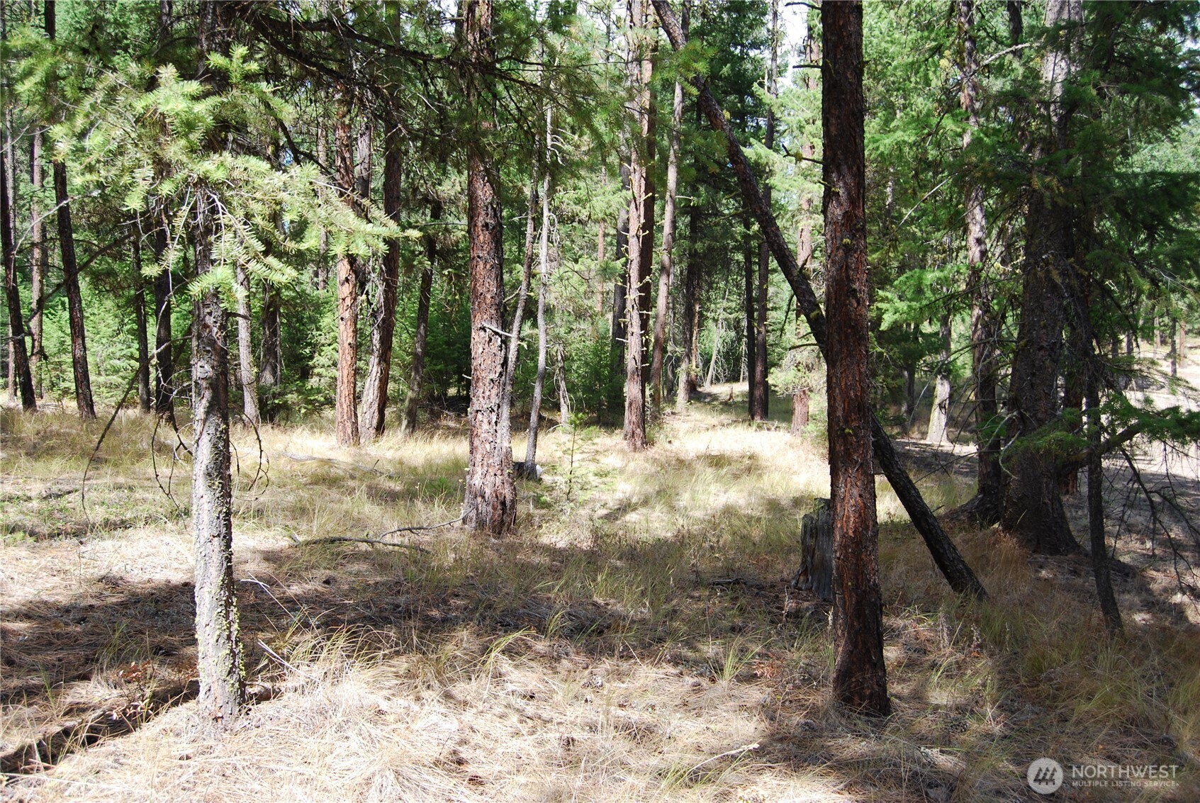 31 Summit Lake Road Tonasket, WA 98855 - Photo 34 of 35