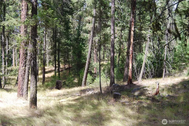 $299,900 | 31 Summit Lake Road, Tonasket, WA 98855