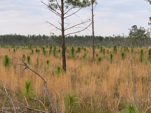 0 Big Mac Road Clarksville, FL 32430 - Photo 17 of 21 Gallery Image 17