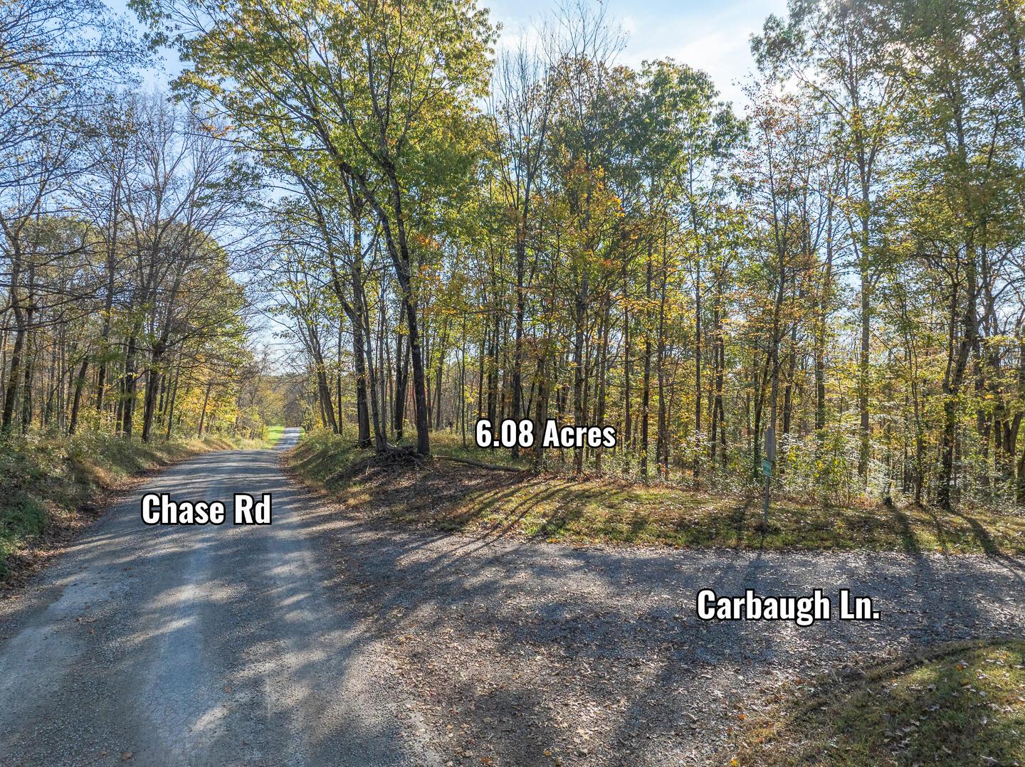0 Chase Road Albany, OH 45710 - Photo 6 of 37 Chase Rd-6