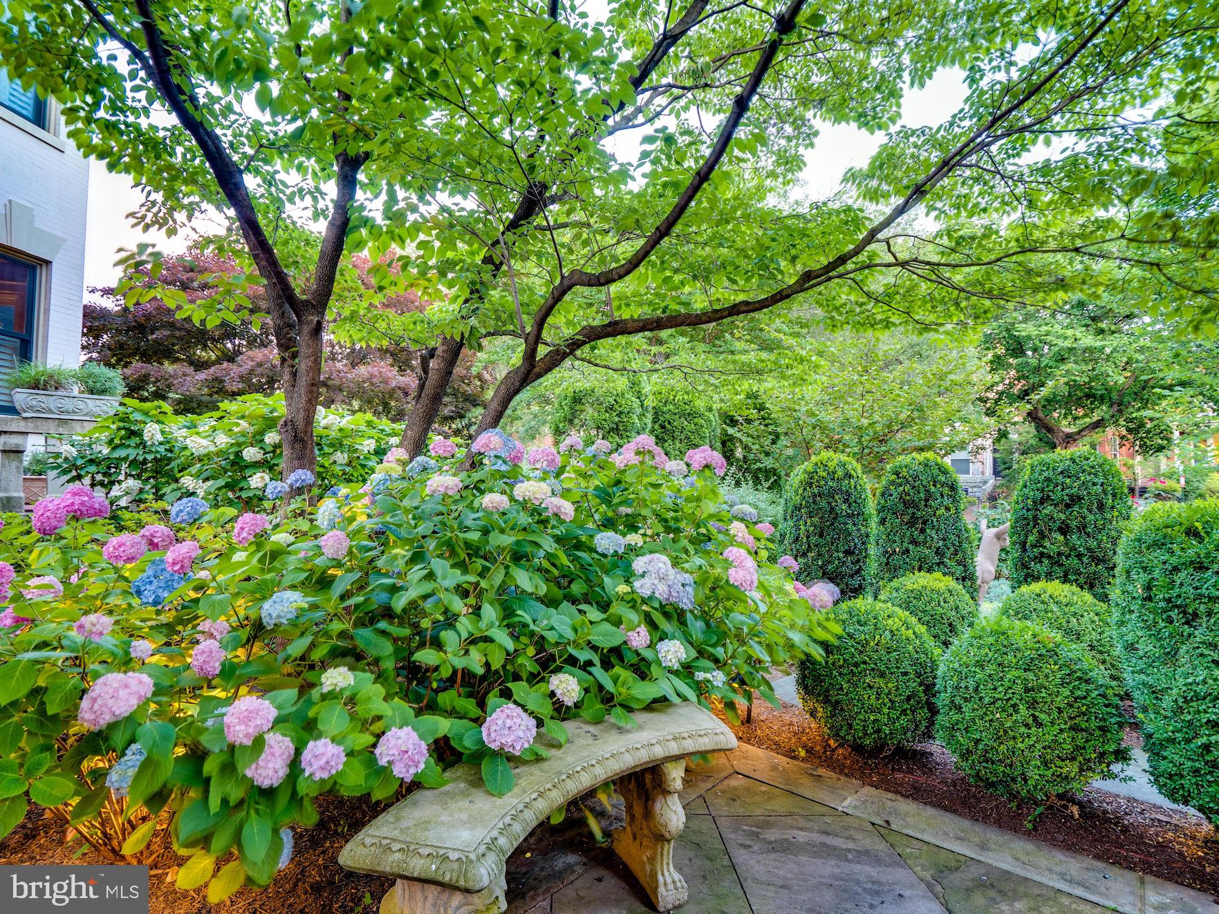 712 East Capitol Street Northeast Washington, DC 20003 - Photo 14 of 79