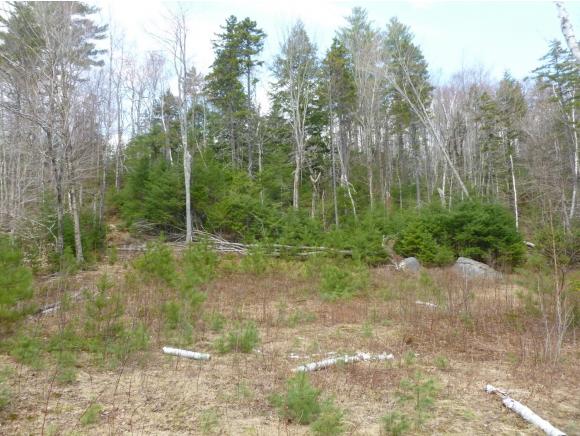 0 Morristown Road Franconia, NH 03580 - Photo 11 of 20