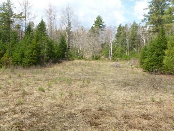 0 Morristown Road Franconia, NH 03580 - Photo 12 of 20