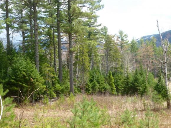 0 Morristown Road Franconia, NH 03580 - Photo 10 of 20