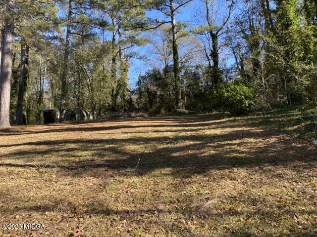 2034 Graham Road Macon, GA 31211 - Photo 3 of 11 IMG_4154