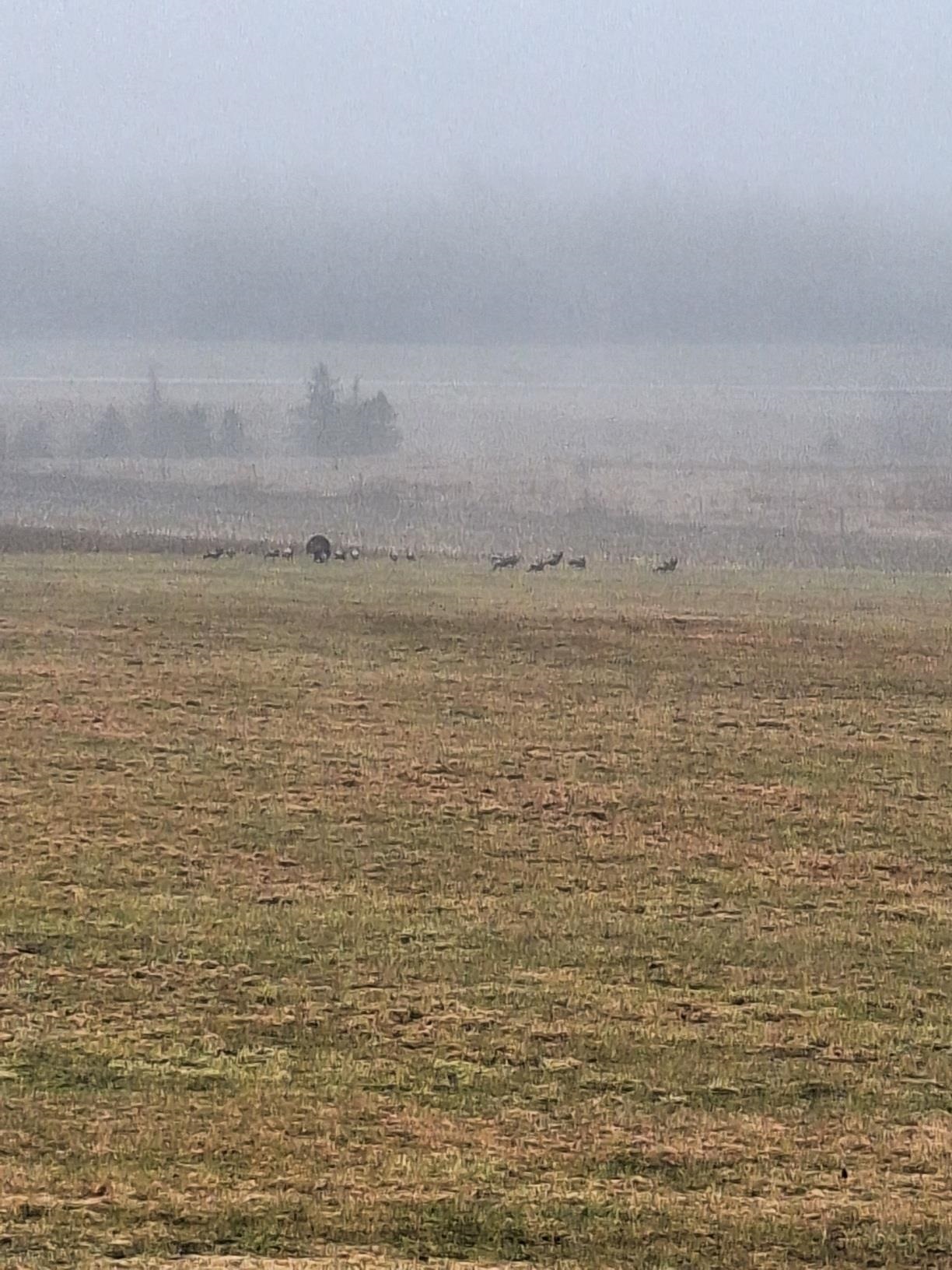 294 Lyon Road Derby Line, VT 05830 - Photo 49 of 52