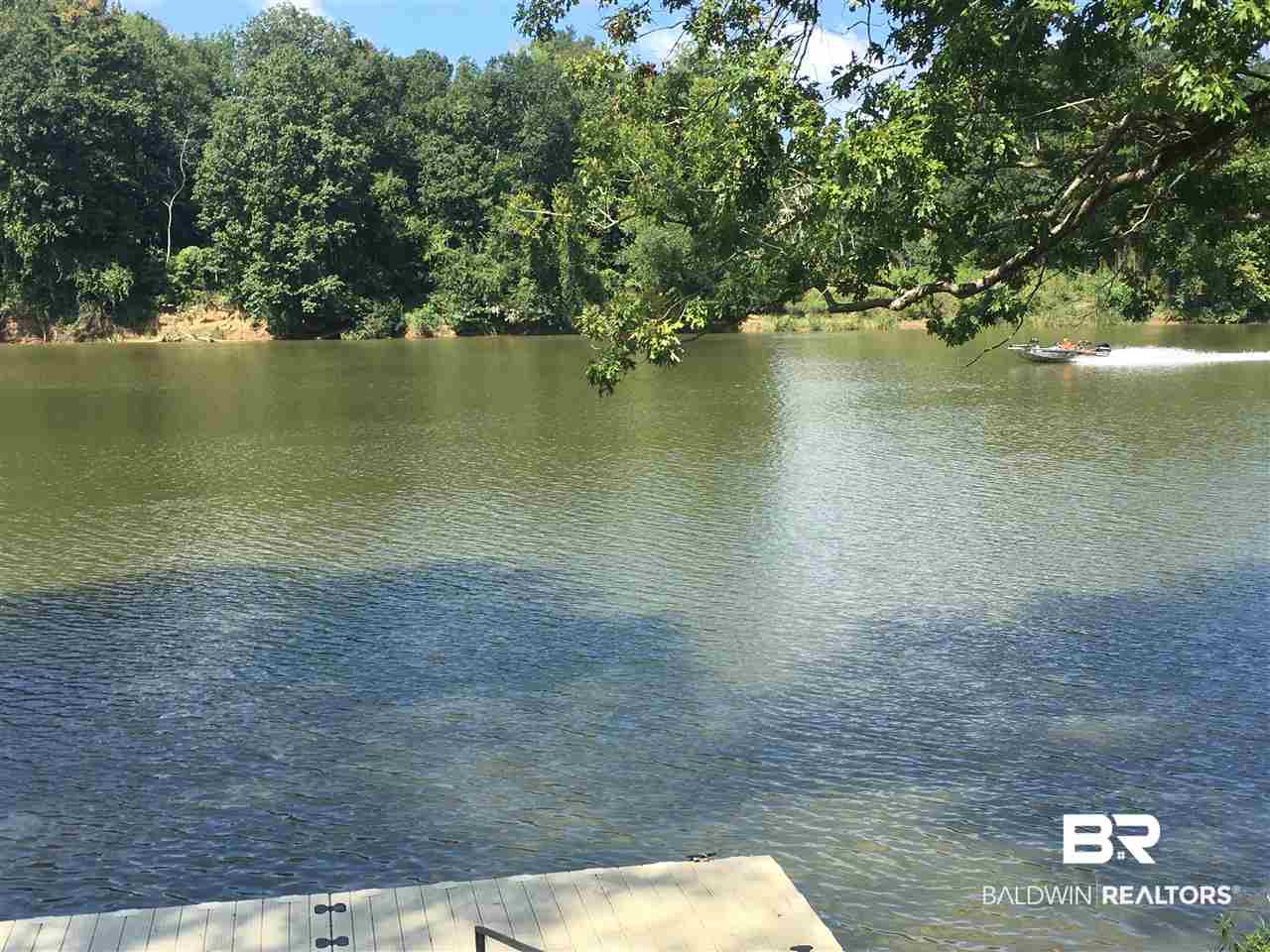 1 Jimmy Phillips Road Greensboro, AL 36744 - Photo 36 of 46
