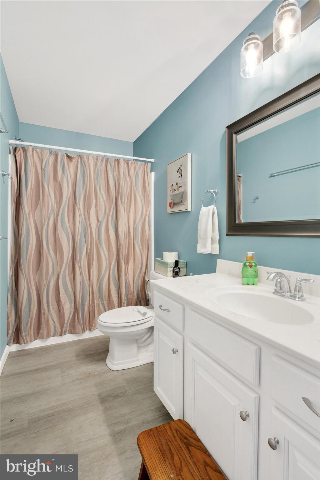 155 Sunbury Way Red Lion, PA 17356 - Photo 20 of 36 a bathroom with a sink a toilet and a mirror