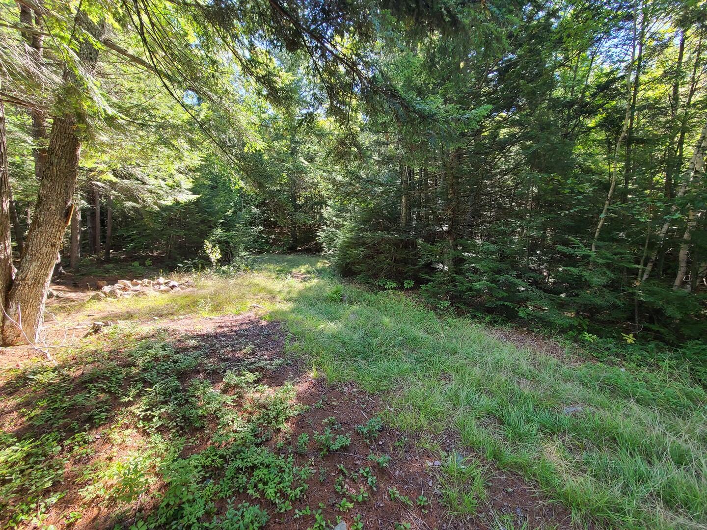 600 Dow Pond Road Palermo, ME 04354 - Photo 6 of 12 6 (Copy)