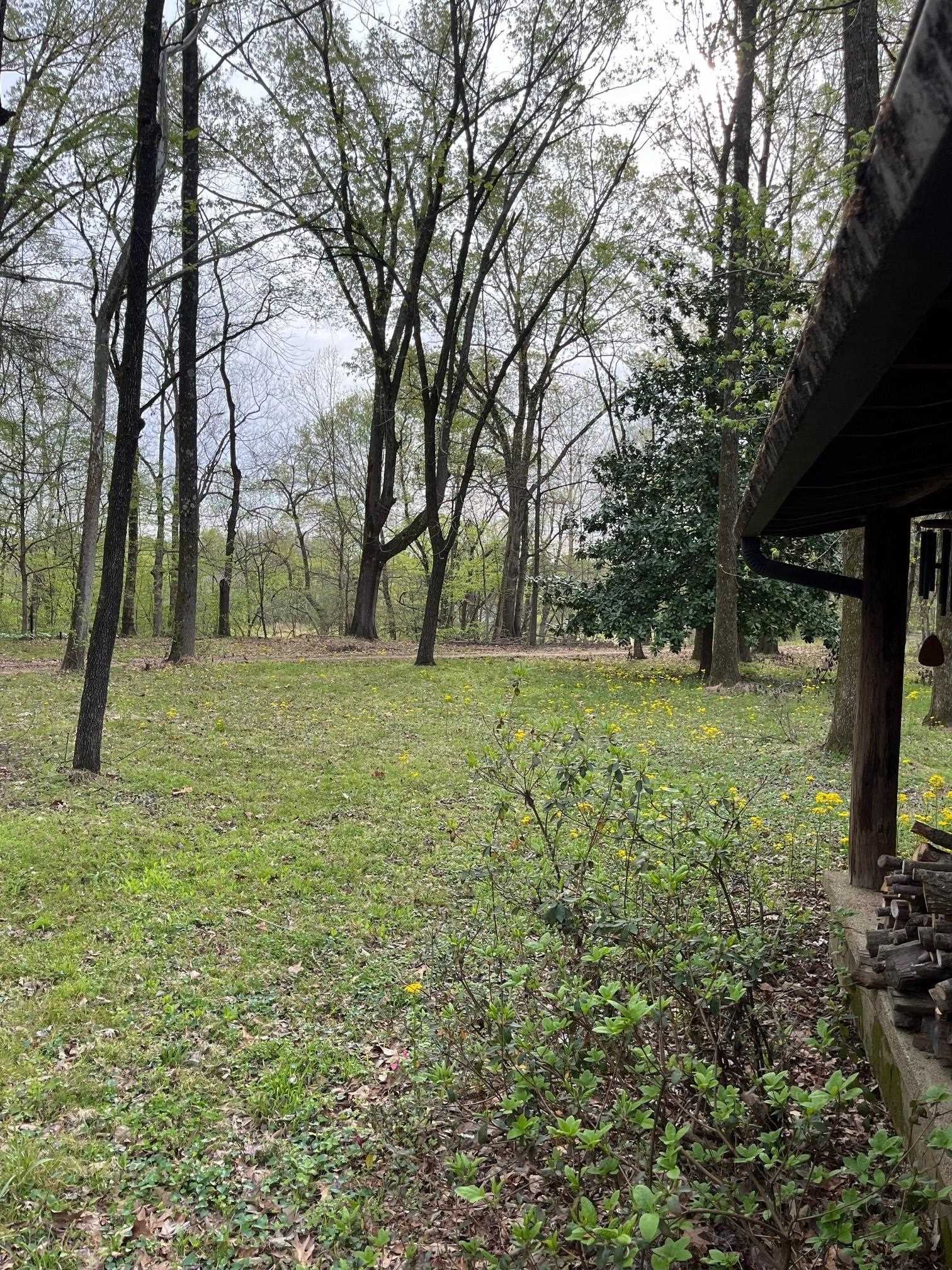 8221 Rankin Branch Road Millington, TN 38053 - Photo 19 of 30 Gallery Image 19