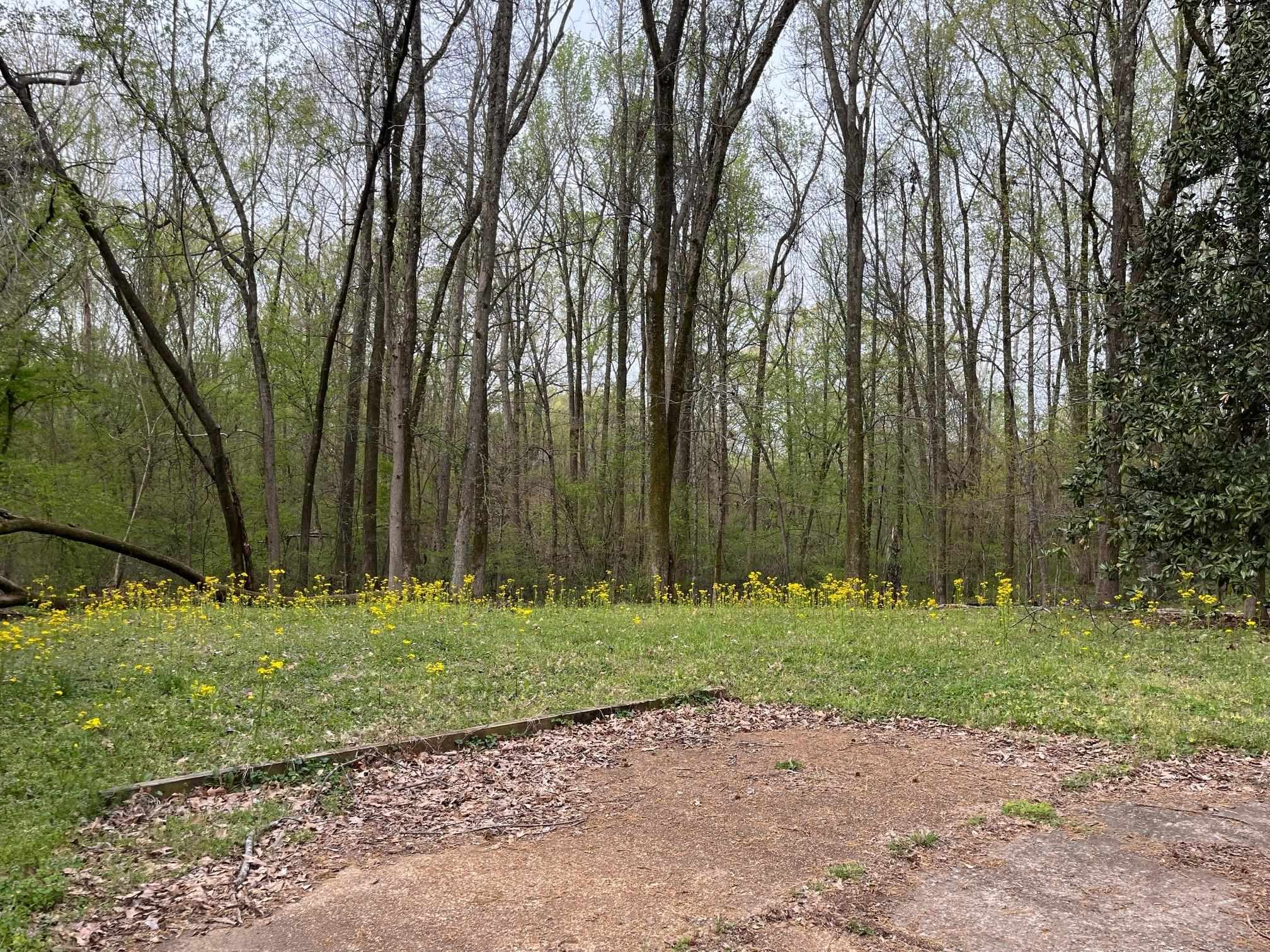 8221 Rankin Branch Road Millington, TN 38053 - Photo 22 of 30 Gallery Image 22