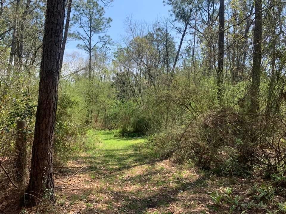 26264 Feely Road Elberta, AL 36530 - Photo 23 of 30