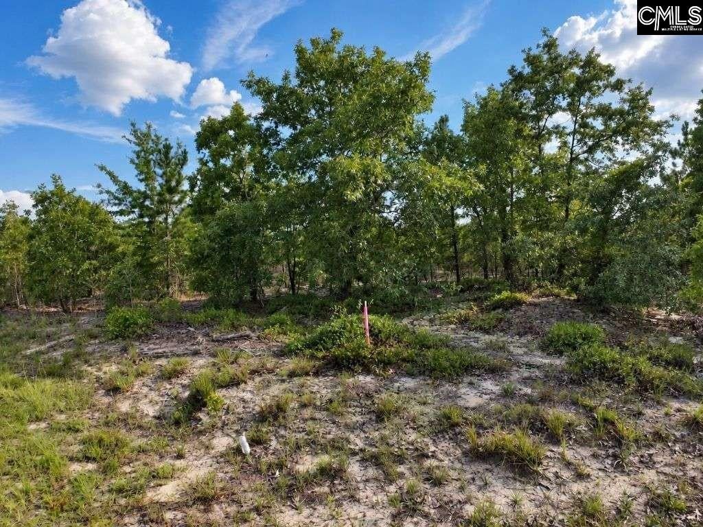 1 Old Georgetown Road West Cassatt, SC 29032 - Photo 20 of 22 Gallery Image 20