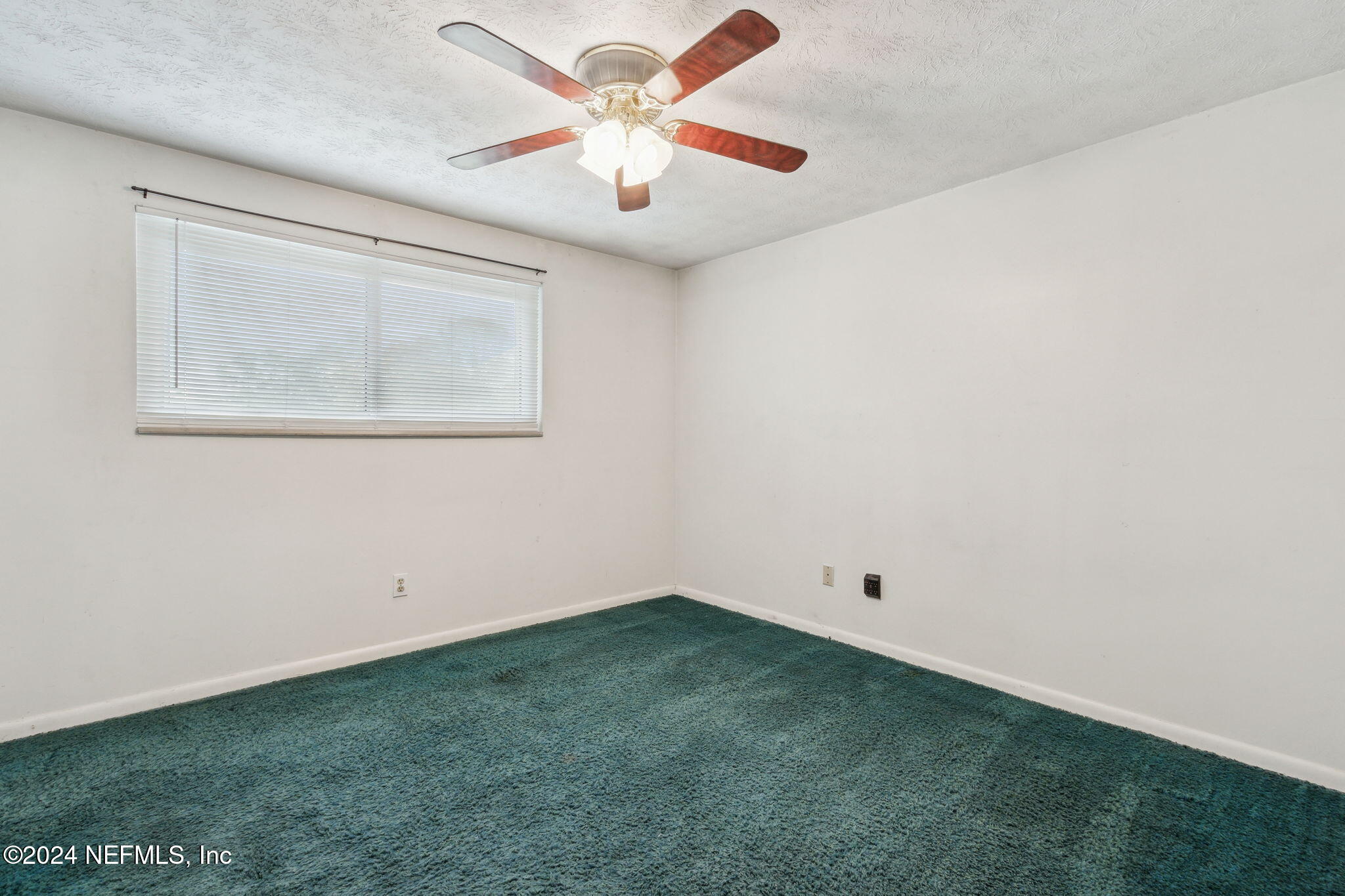 8585 Thims Avenue Jacksonville, FL 32221 - Photo 28 of 42 2nd bedroom