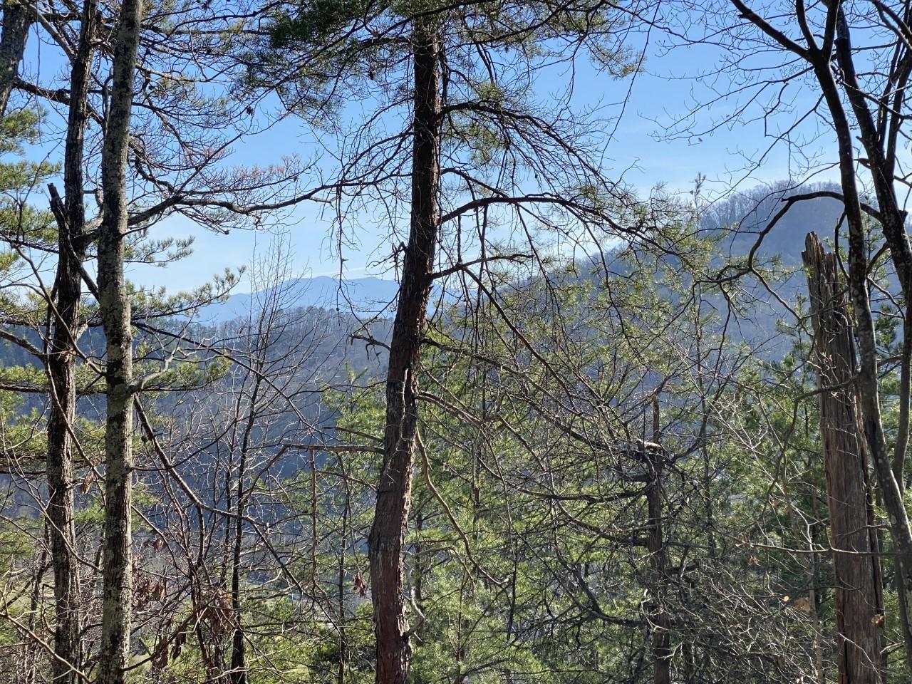 Hawkeye View Sevierville, TN 37876 - Photo 1 of 3 Lot 32 Spence Mtn VIew