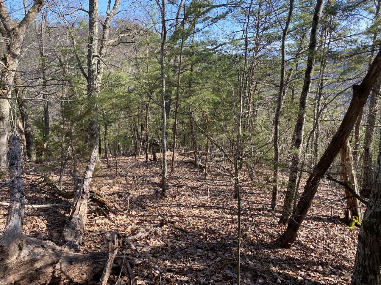 Hawkeye View Sevierville, TN 37876 - Photo 3 of 3 Lot 32 Spence Mtn lay of land