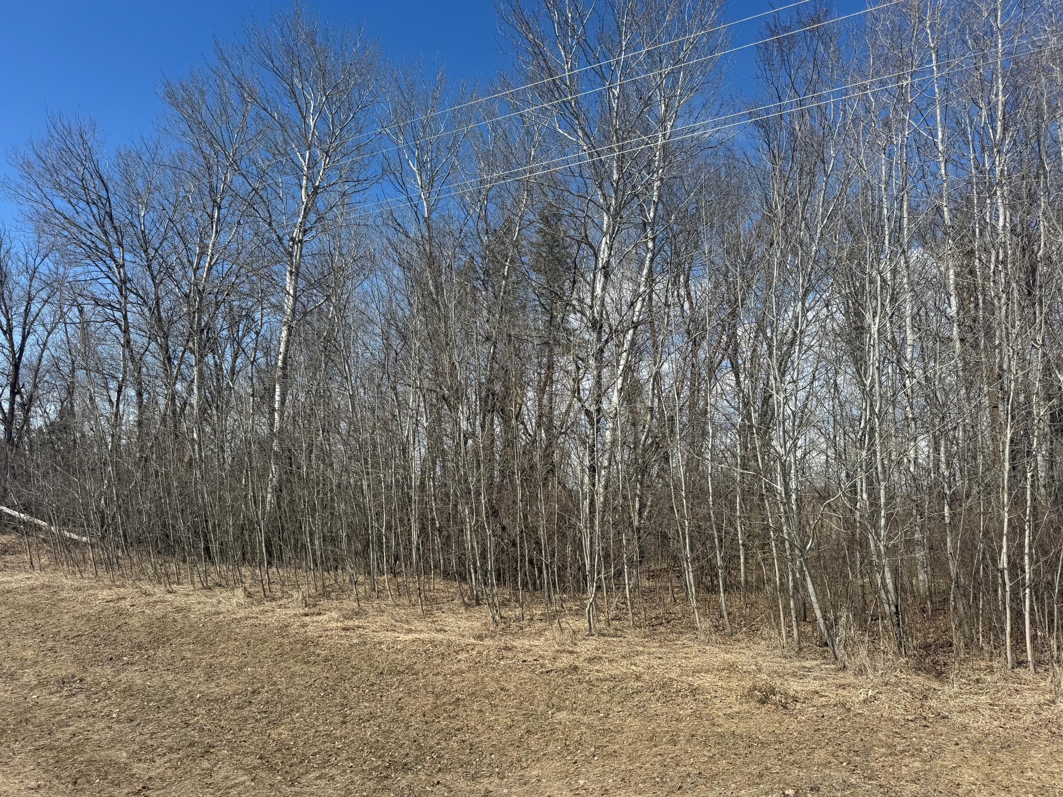 32 Detroit Lakes Detroit Lakes, MN 56501 - Photo 2 of 5