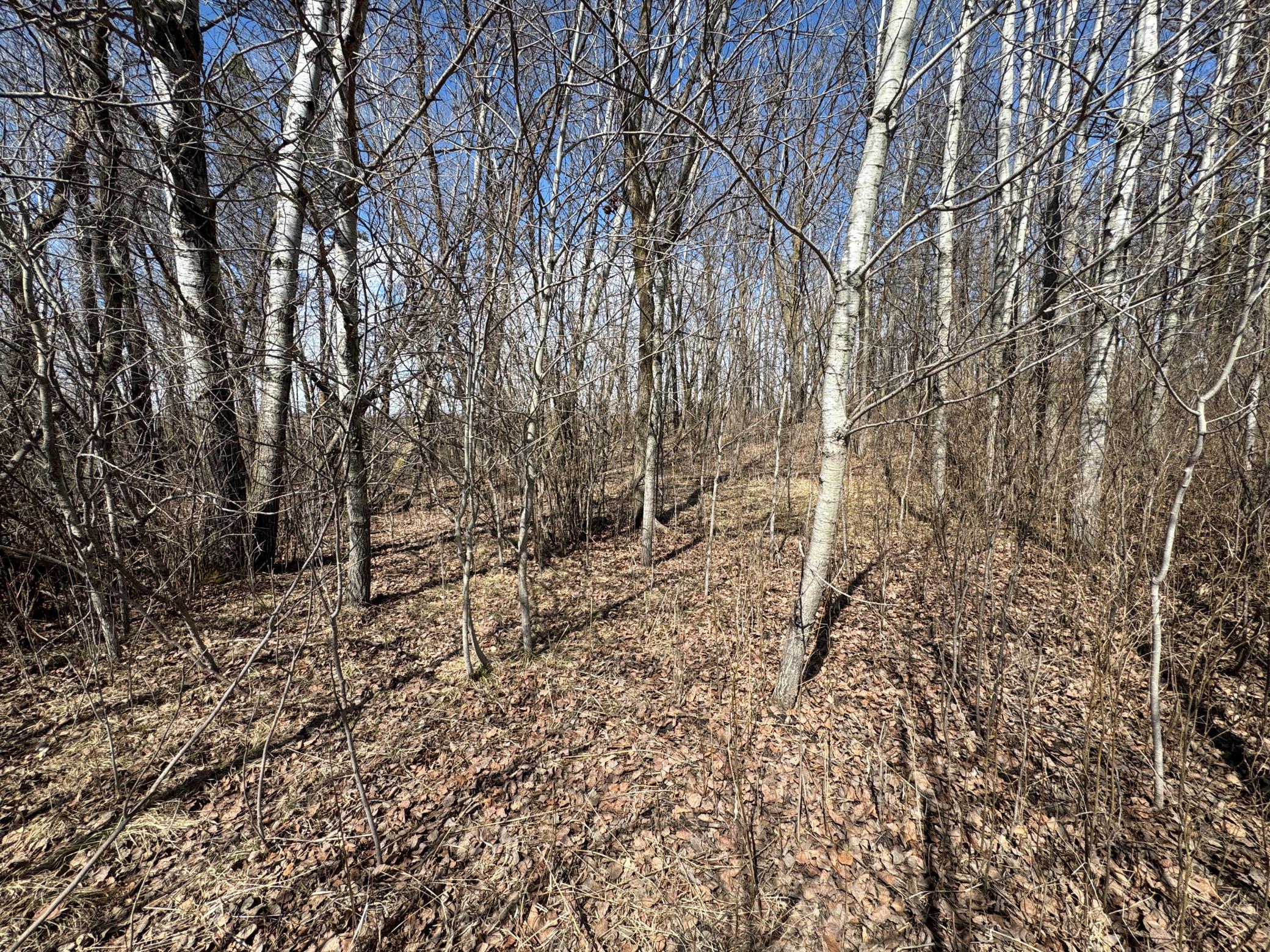 32 Detroit Lakes Detroit Lakes, MN 56501 - Photo 3 of 5