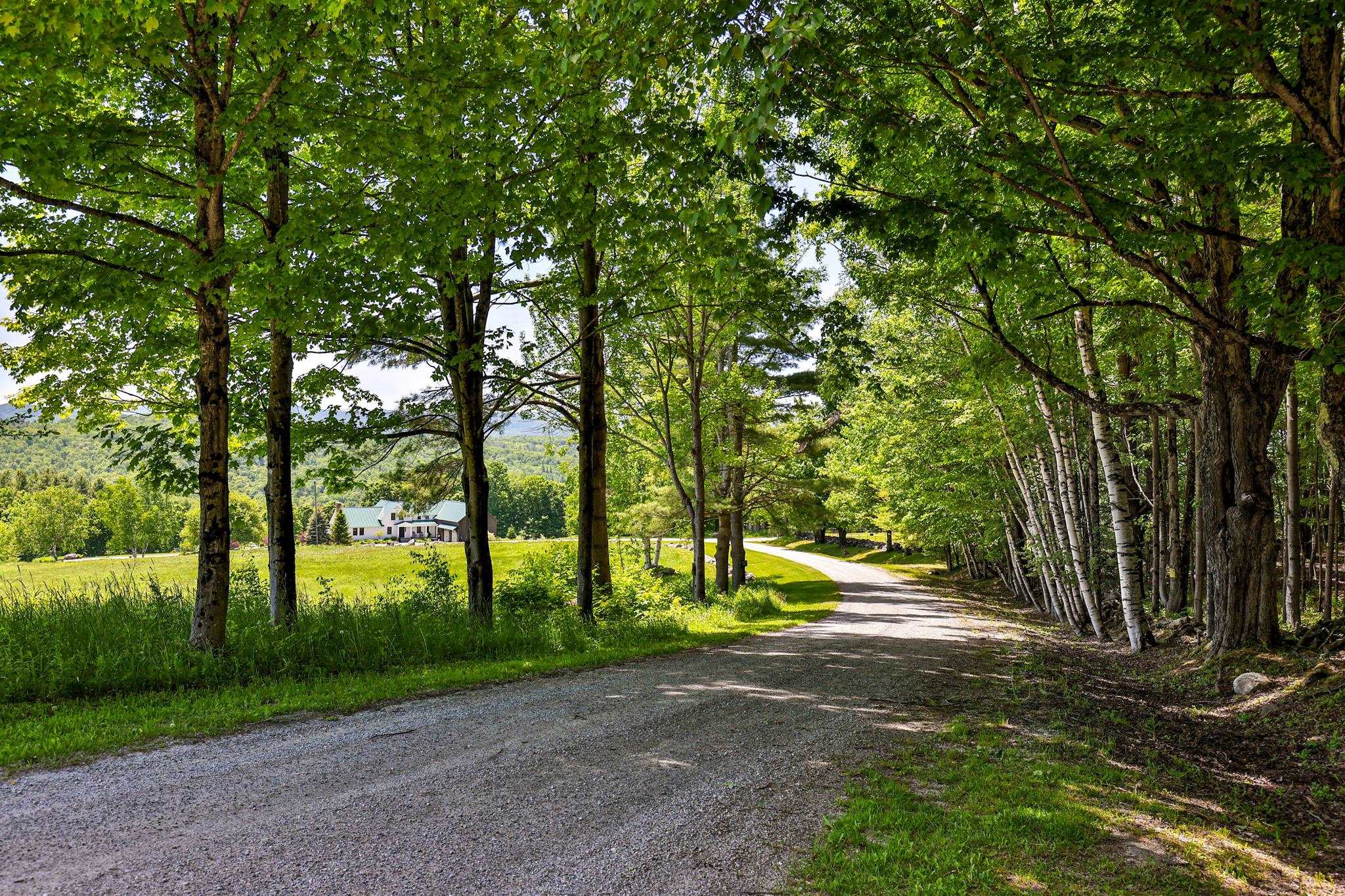 514 Robinson Road Shrewsbury, VT 05738 - Photo 2 of 39