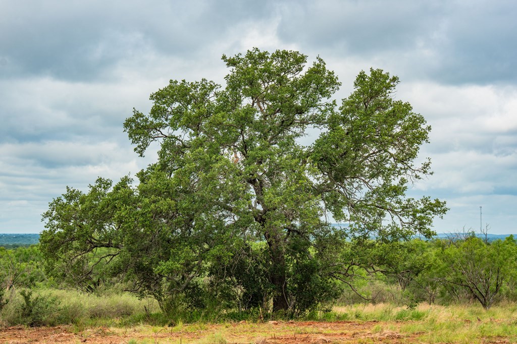 7602 County Road 113 Llano, TX 78643 - Photo 51 of 69