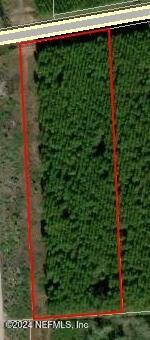 a view of a green yard