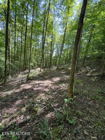 691-695 Blue Rdg Church Road Pineville, KY 40977 - Photo 42 of 42 BR42