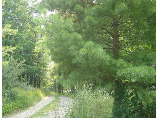9172 York Road Southwest Pataskala, OH 43062 - Photo 18 of 23
