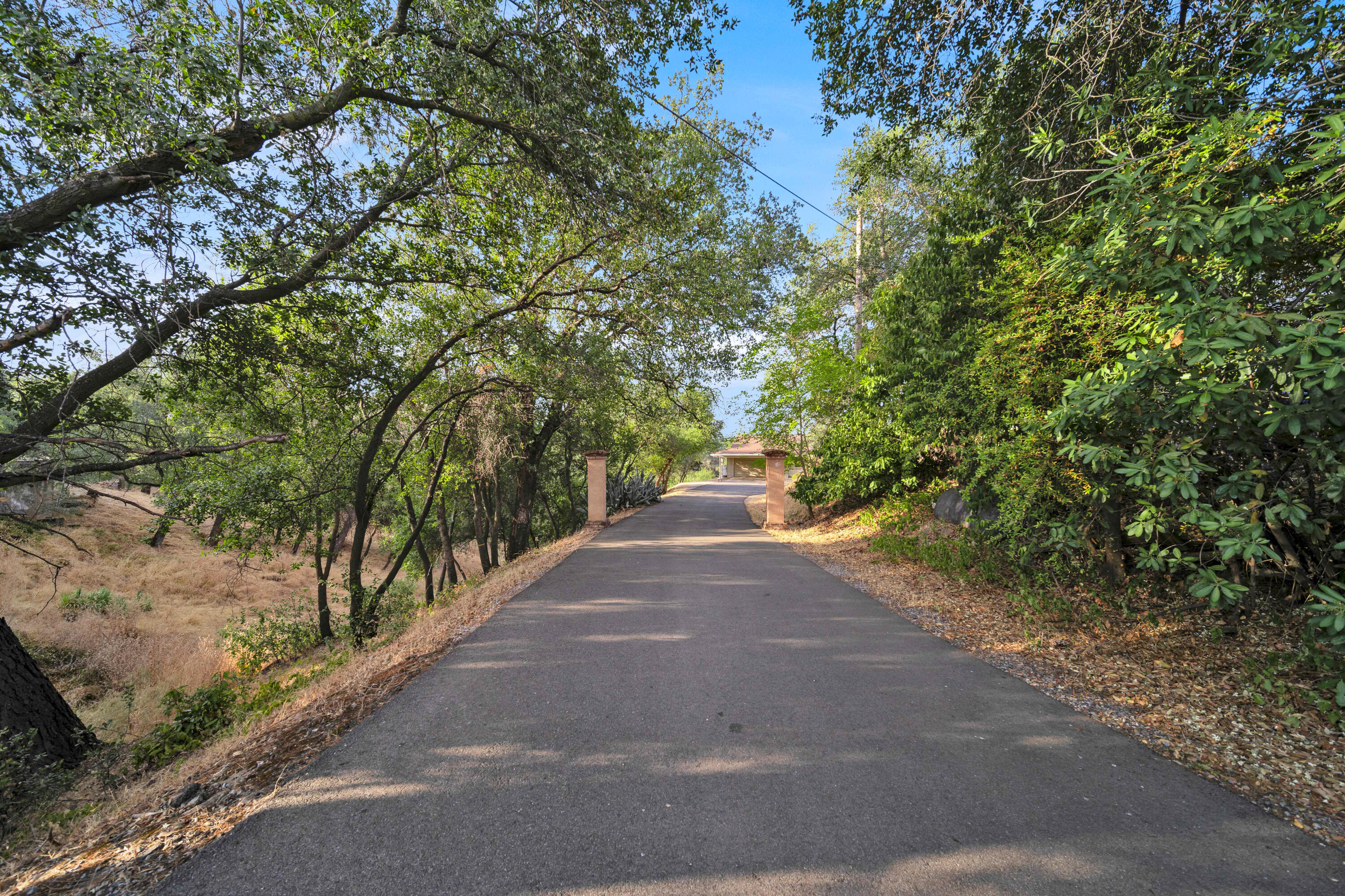 1705 Barbara Road Redding, CA 96003 - Photo 22 of 103 WILLOW-AND-BEN-NAPA-WEDDING-PHOTOGRAPHER