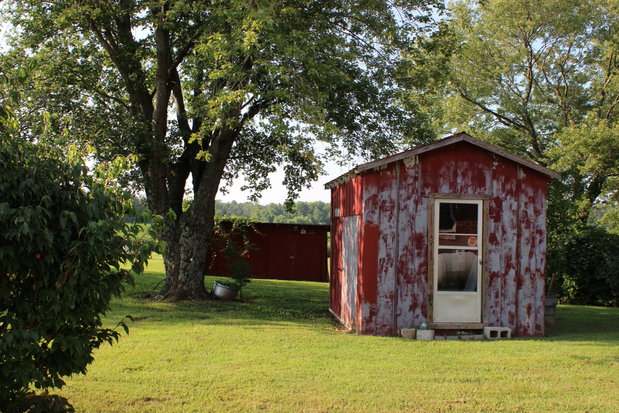 512 Limestone Road Elora, TN 37328 - Photo 31 of 44 a view of a backyard with small cabin