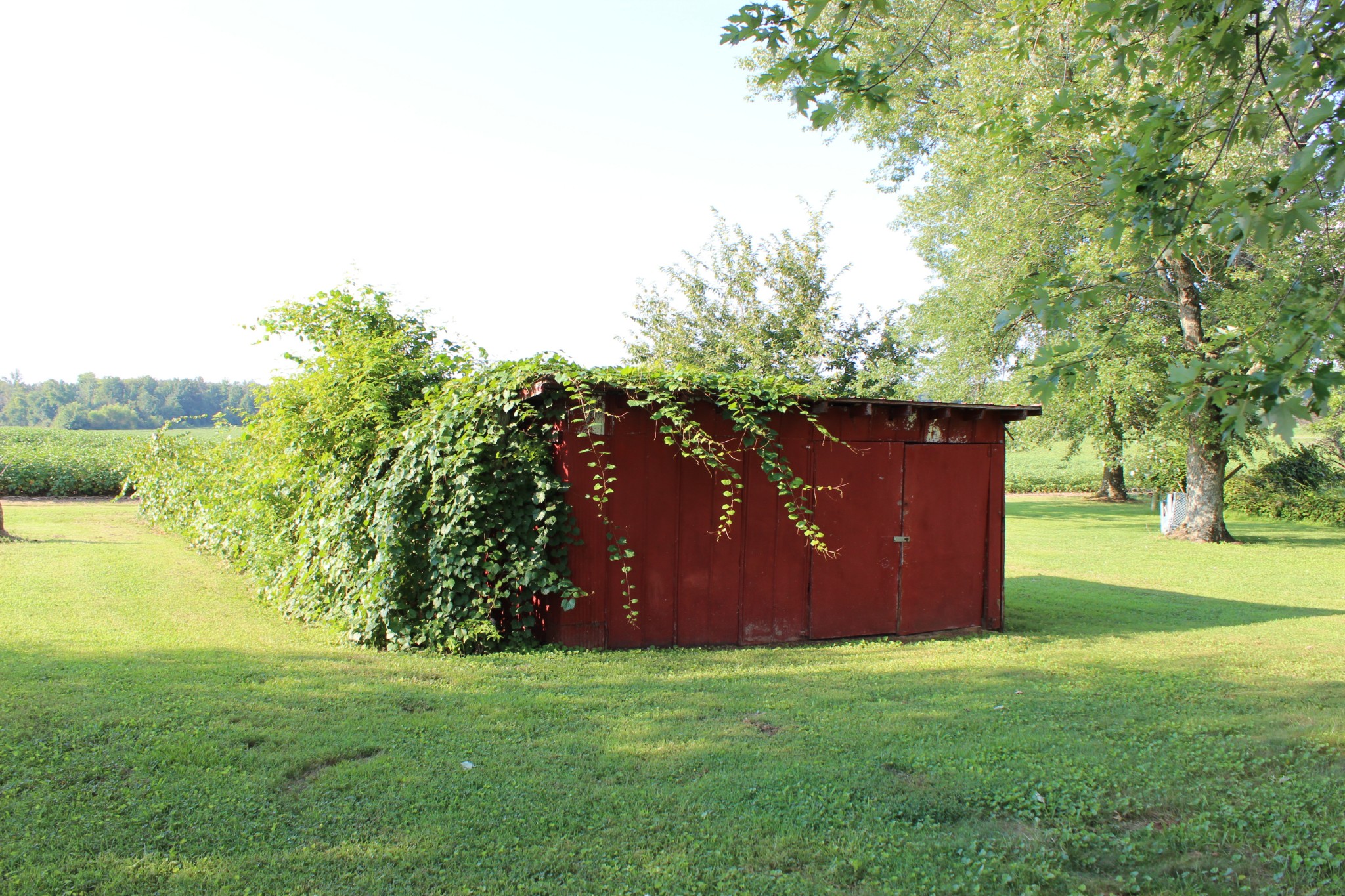 512 Limestone Road Elora, TN 37328 - Photo 34 of 44 a view of a backyard of the house