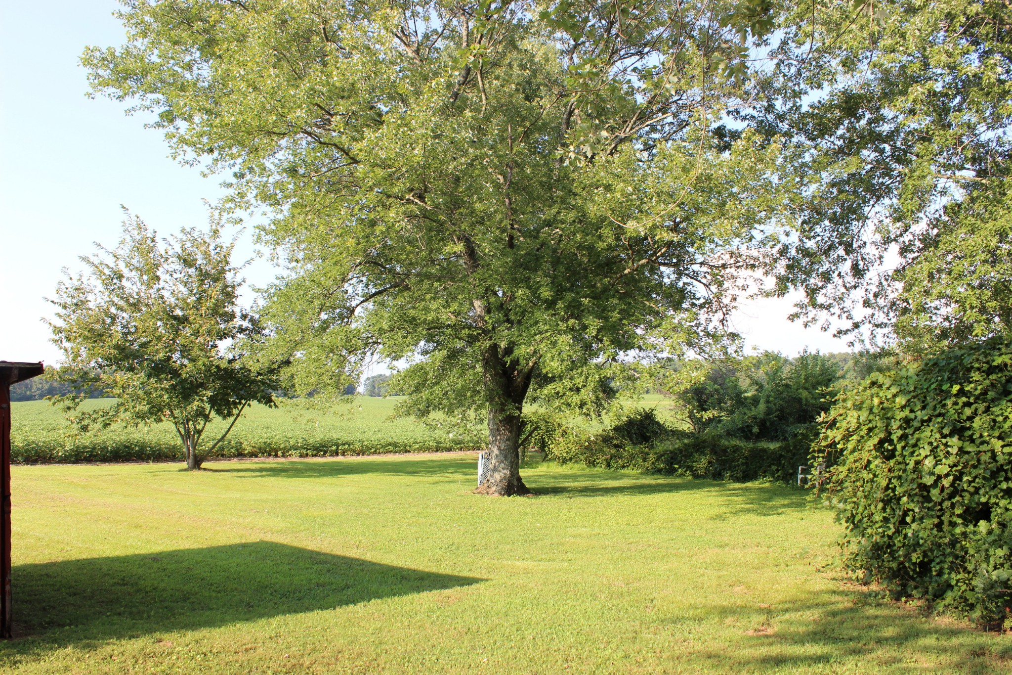 512 Limestone Road Elora, TN 37328 - Photo 36 of 44 a view of an ocean