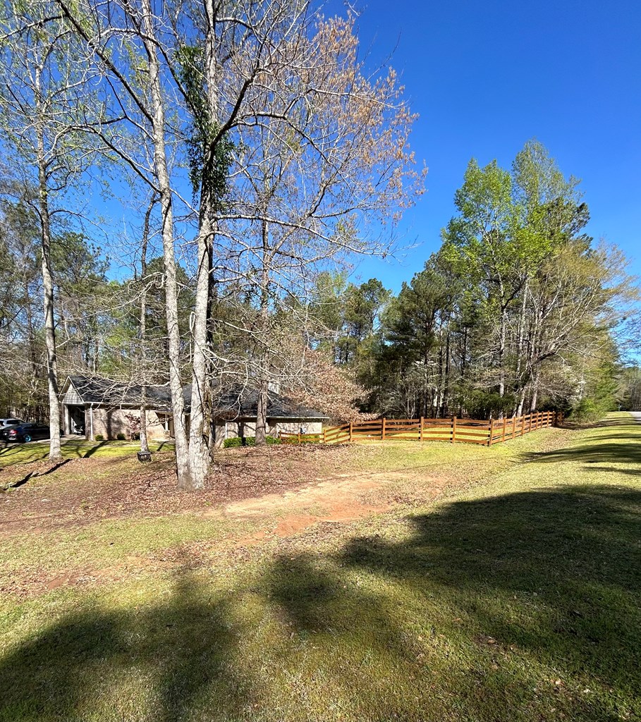 20 Green Ridge Court Cataula, GA 31804 - Photo 3 of 62 Gallery Image 3