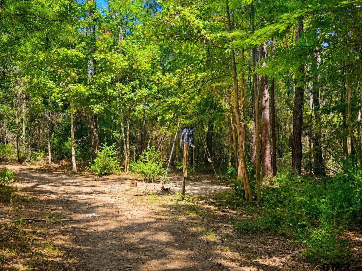1798 County Road 2404 Rusk, TX 75785 - Photo 20 of 29 Gallery Image 20