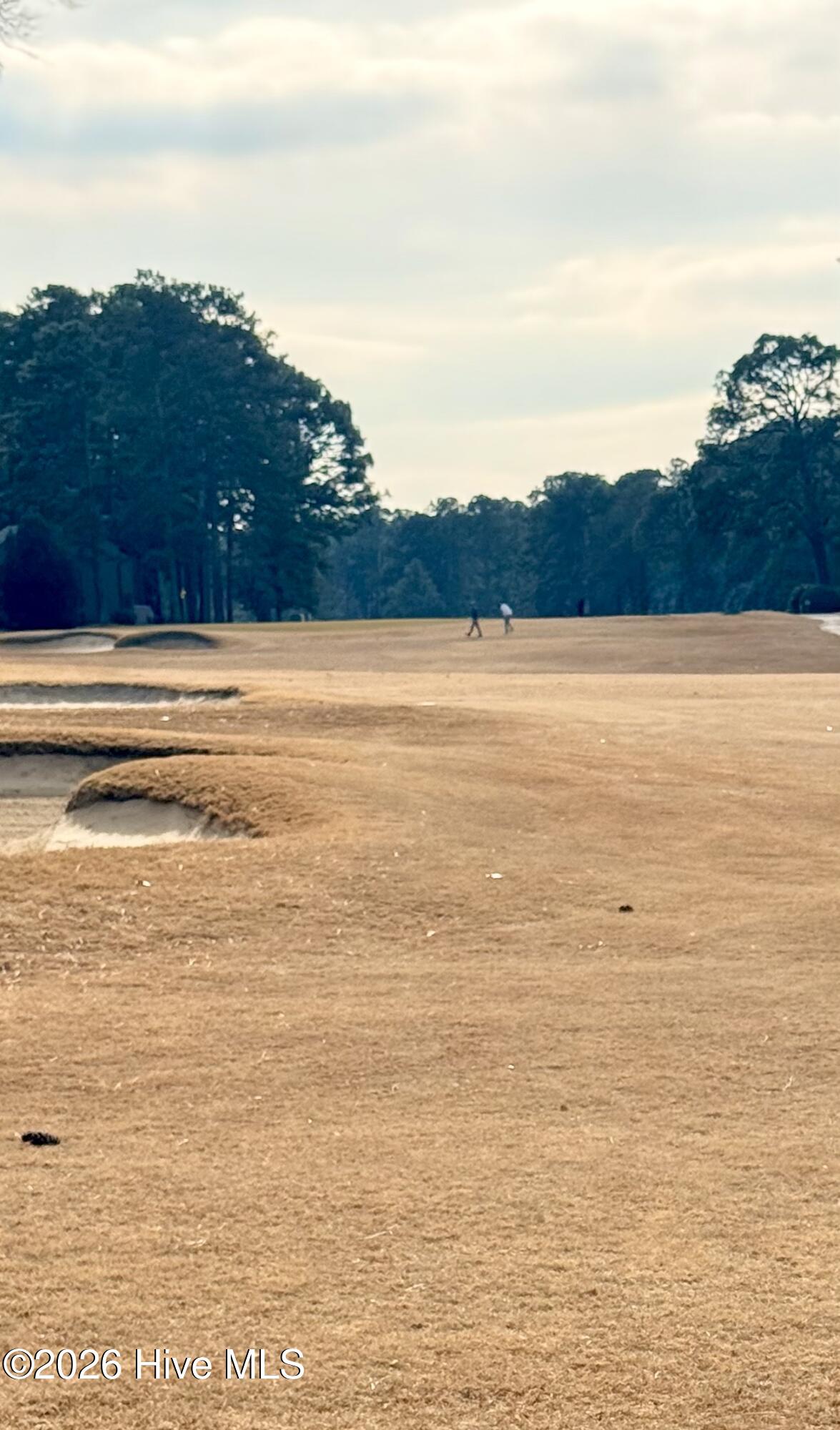 5 Pine Tree Road, Unit 205 Pinehurst, NC 28374 - Photo 42 of 45 IMG_8930