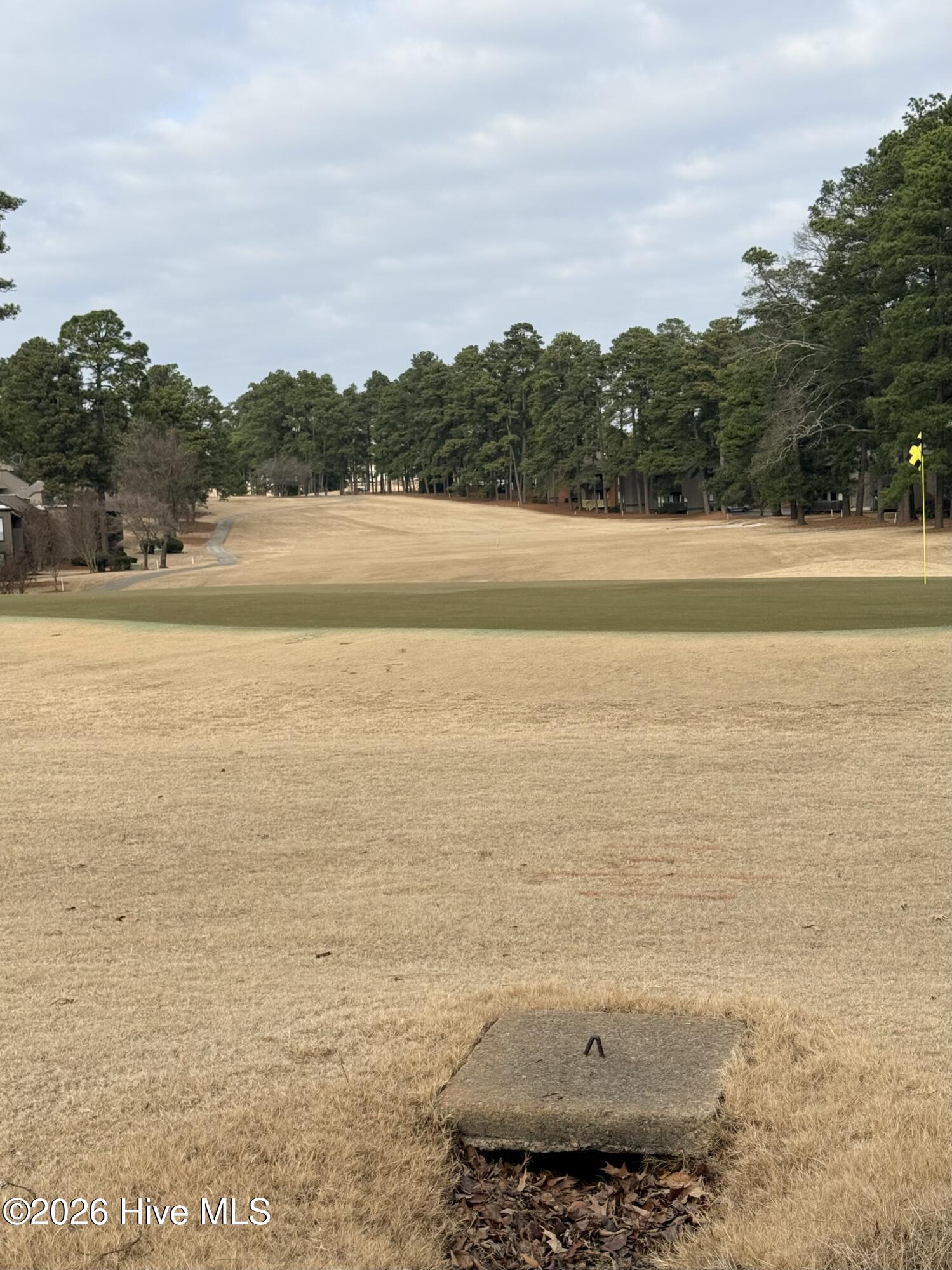 5 Pine Tree Road, Unit 205 Pinehurst, NC 28374 - Photo 43 of 45 IMG_8937